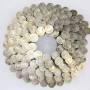 15° Stainless Steel (304) Ring Shank Roofing Nails for Asphalt Roofing