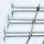 15° Electro-Galv Roofing Nails for Asphalt Roofing