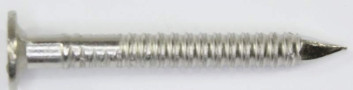 Stainless Steel (304) Vinyl Siding Nails